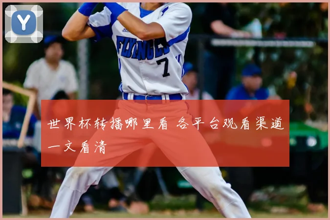 世界杯转播哪里看 各平台观看渠道一文看清