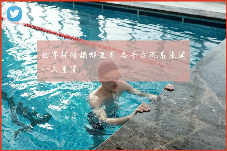 世界杯转播哪里看 各平台观看渠道一文看清