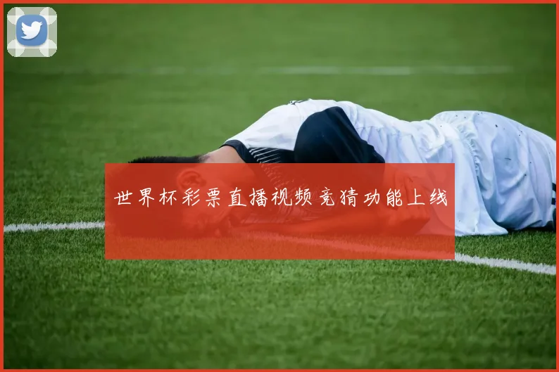 世界杯彩票直播视频竞猜功能上线