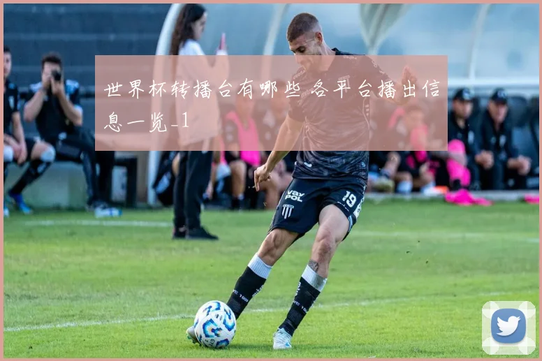 世界杯转播台有哪些 各平台播出信息一览_1